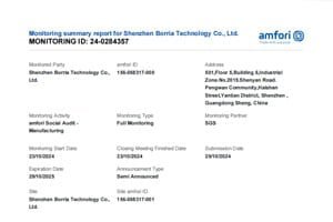 BSCI Social Audit Report