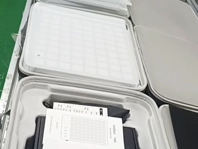 Market Launch Success