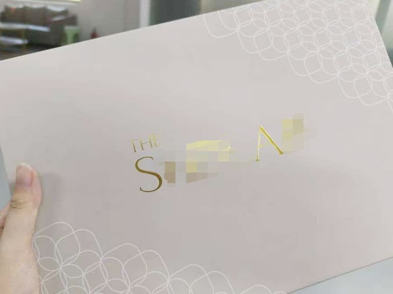 Market Launch Success